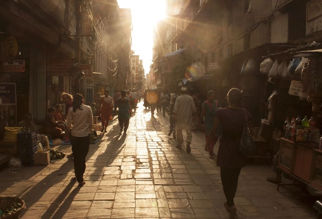 जशपुर: जंगल के रास्ते झारखंड ले जाए जा रहे 29 गोवंश मुक्त, तीन तस्कर गिरफ्तार